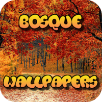 Bosque Wallpapers gratis