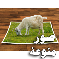 صور منوعة