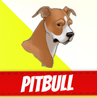 Pitbull Dogs
