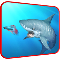 Wild Angry Shark Hunting 2016