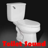 Toilet Sound