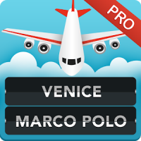 FLIGHTS Venice Airport Pro