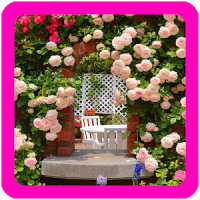 Roses Garden Wallpaper