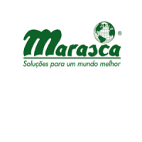 Marasca