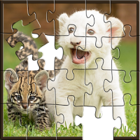 Baby Animals Jigsaw Puzzles