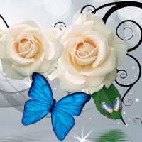 White Rose Butterfly