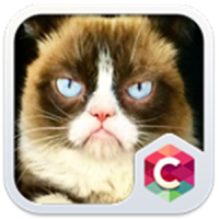 Grumpy Cat Theme C Launcher