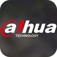 Dahua Partner