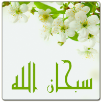 Flowers Islamic Livewallpaper