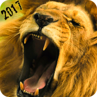 Angry Lion Hunting Season 2017