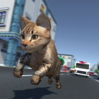 Kitty Cat Rush 3D Juego