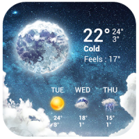 Live Weather Forecast Widget