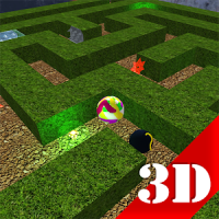 Maze 3D