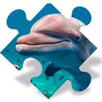 Puzzles de delfines gratis