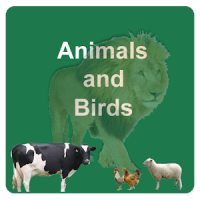 Learn Animals and Birds in English - Quiz