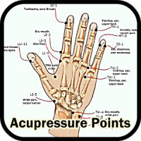 Acupressure Points