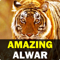 Amazing Alwar