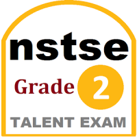NSTSE 2 Exam