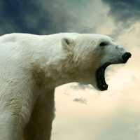Urso Polar De LWP