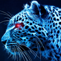 blue cheetah wallpaper