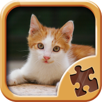 Cute Kitty Puzzle Games