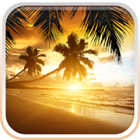 Beach Sunset Live Wallpaper