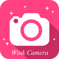 Wink Camera カメラ