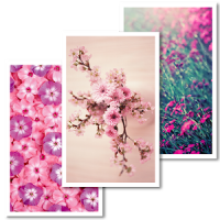 Vintage Flowers Live Wallpaper