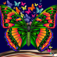 collage de foto de la mariposa