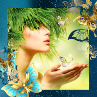 Collage de la foto mariposa
