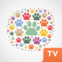 Lifestyle for pets TV