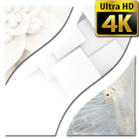 Fondos de pantalla blanca 4K