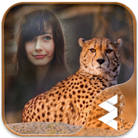 Cheetah Photo Frames