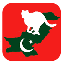 Pakistani apps and news