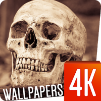 Skull wallpapers 4k