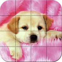 강아지 - 퍼즐