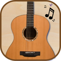 Acoustic Guitar Pro