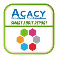 Smart Audit Report