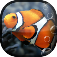 Fish Aquarium Live Wallpaper