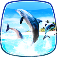 Delfines Fondo Animado