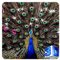 3D Peacock Wallpapers