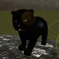 Real Panther Cub Simulator