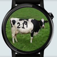 Cow Watch Face