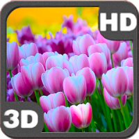 3D Springtime Tulips Free
