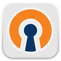 OpenVPN Settings