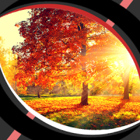 Live Wallpapers – Autumn