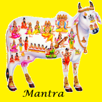 All God Gayatri Mantra