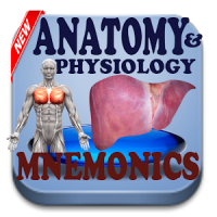 Anatomy & Physiology Mnemonics