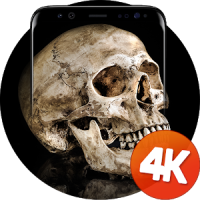 Skull wallpapers 4k