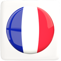 Learn French Language Offline